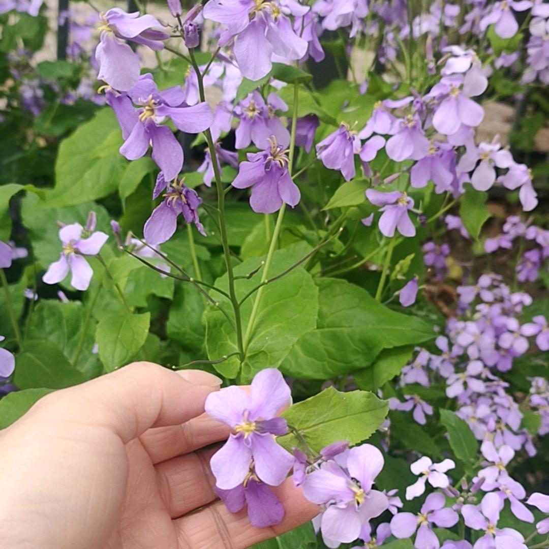 ♥✘烦✔恼♥全♞吴π_π