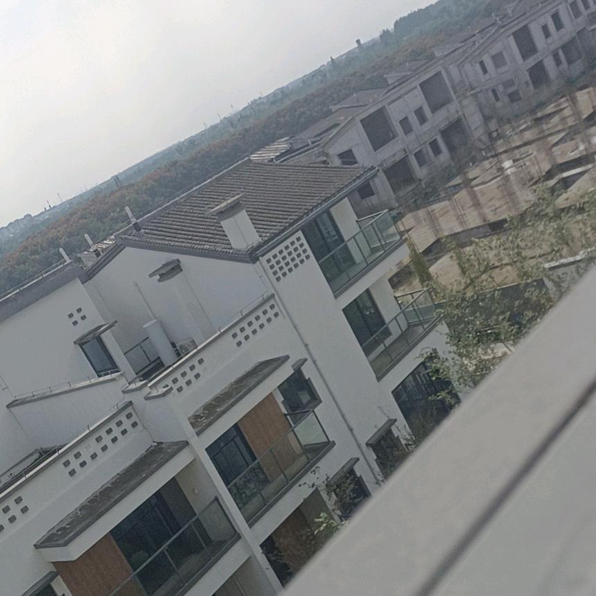 随梦而飞