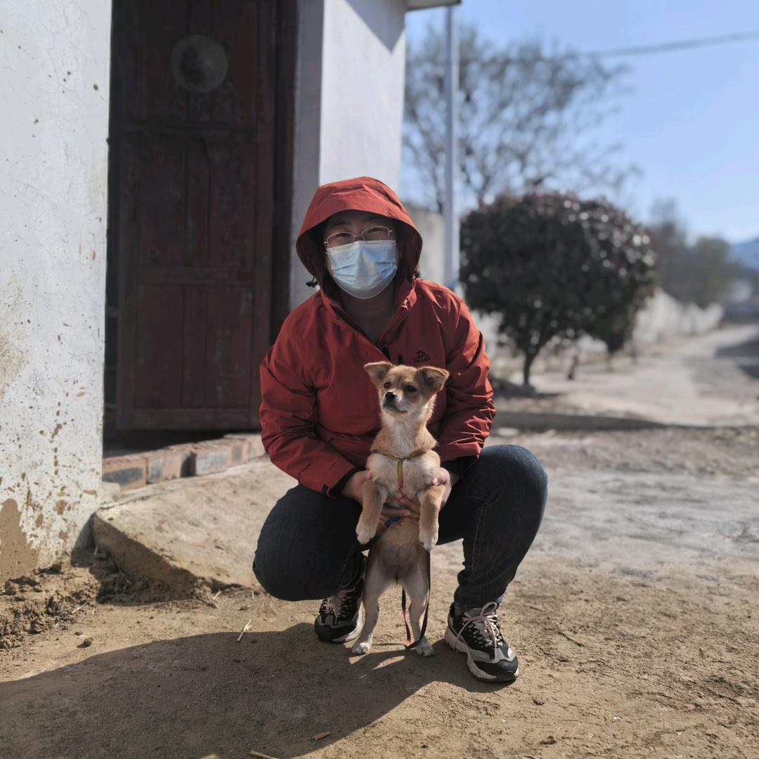 宝妈的自留地（改造小院中）