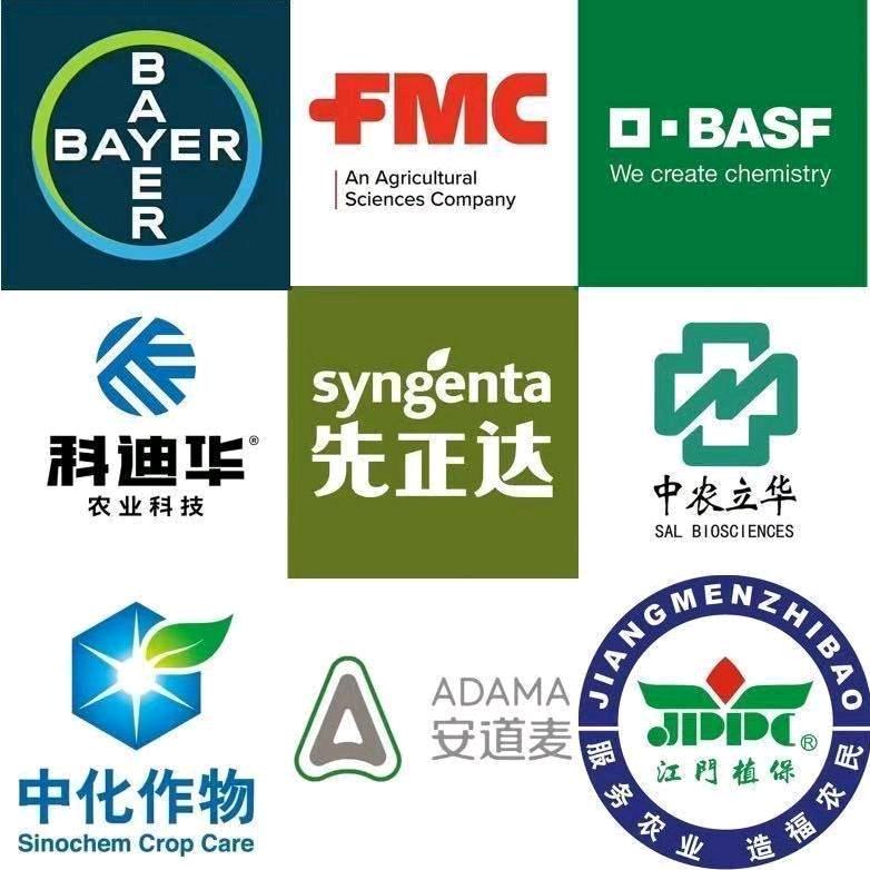 @ 八李桥先正达代理玉强农资
