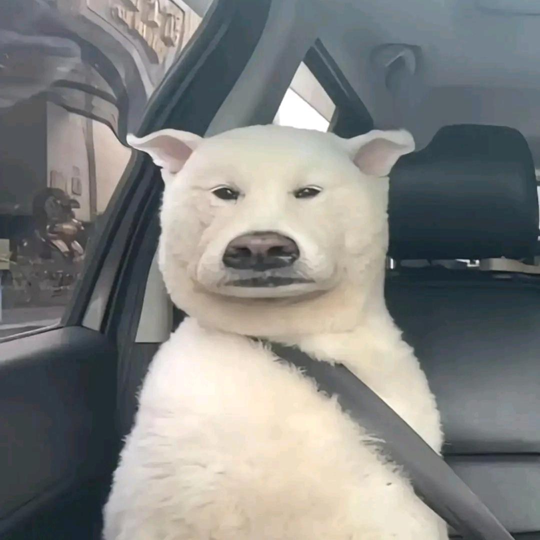 只狼