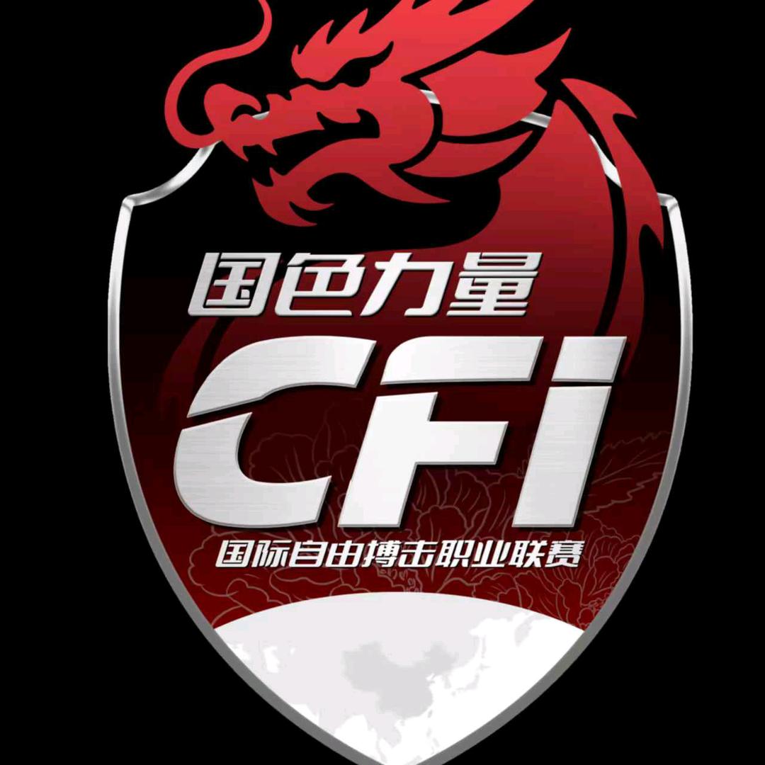 CFI自由搏击职业联赛