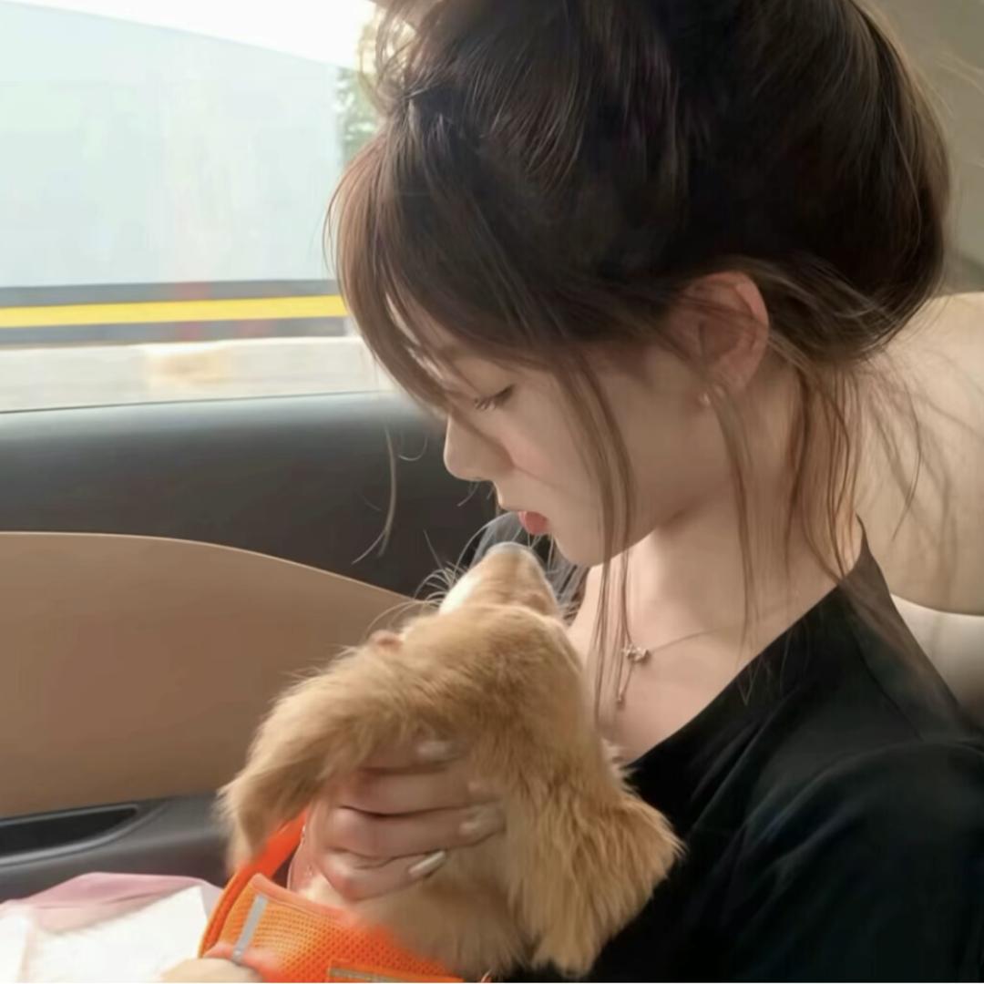 泡~泡~肥~猫