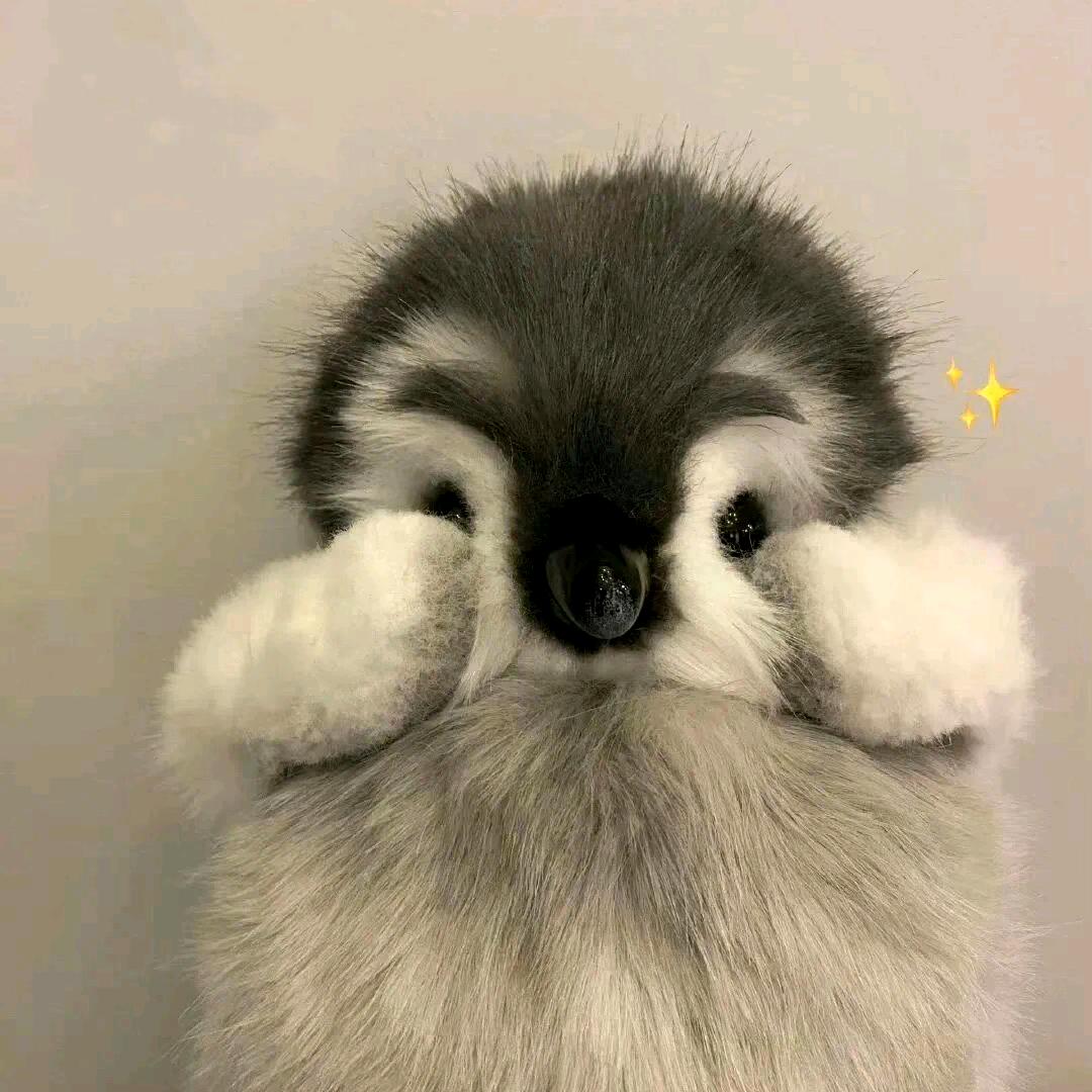 Mr.W（厂区直招）