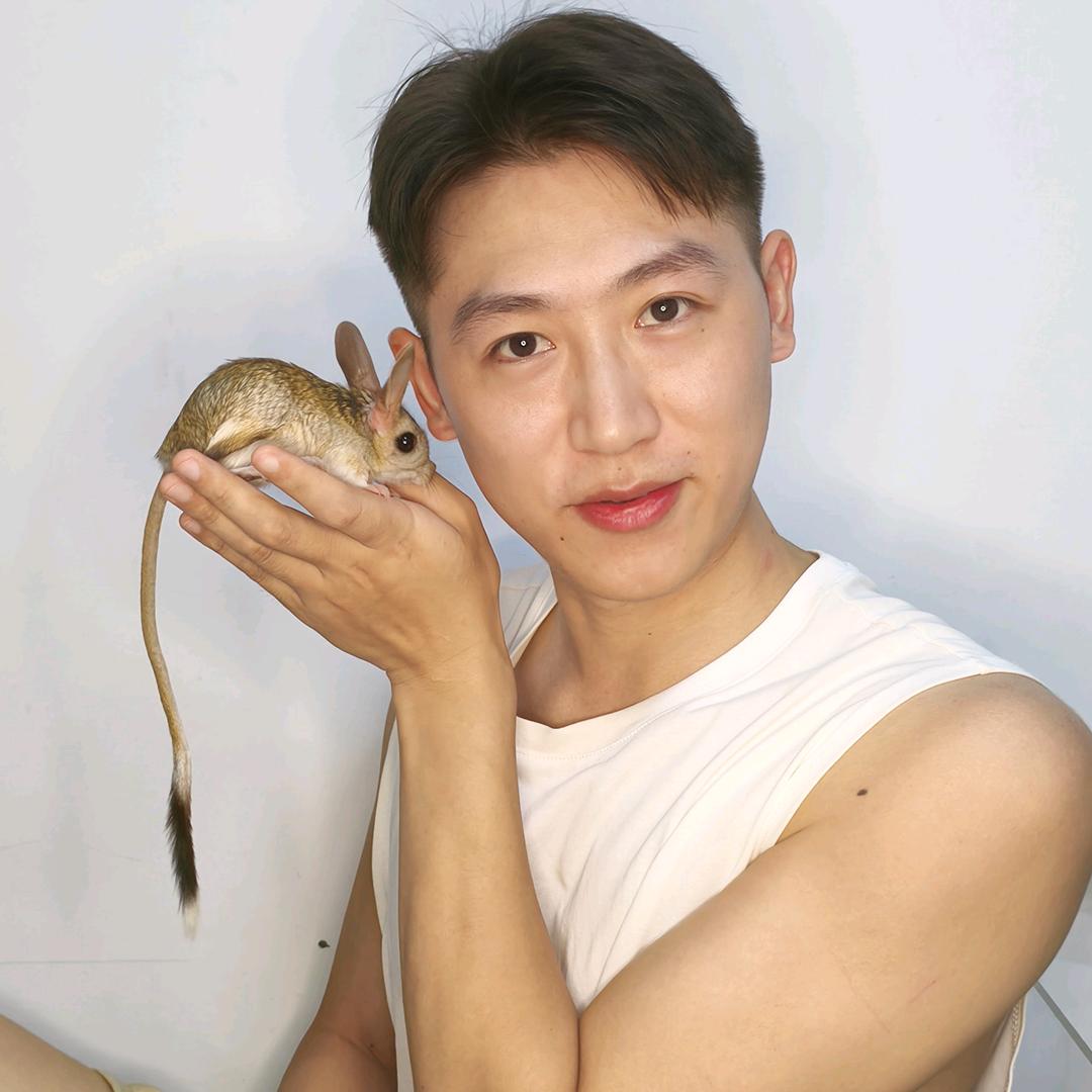 奔跑向着风