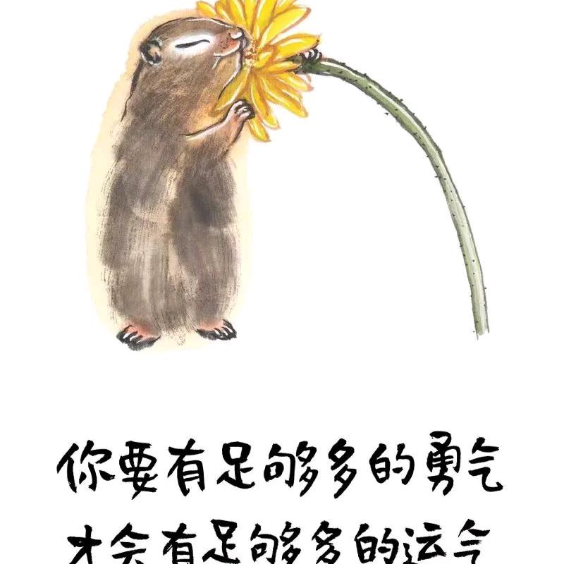 ꧁꫞꯭㐂㕕꫞꧂