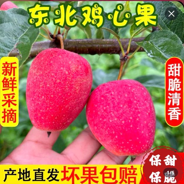 小子来了