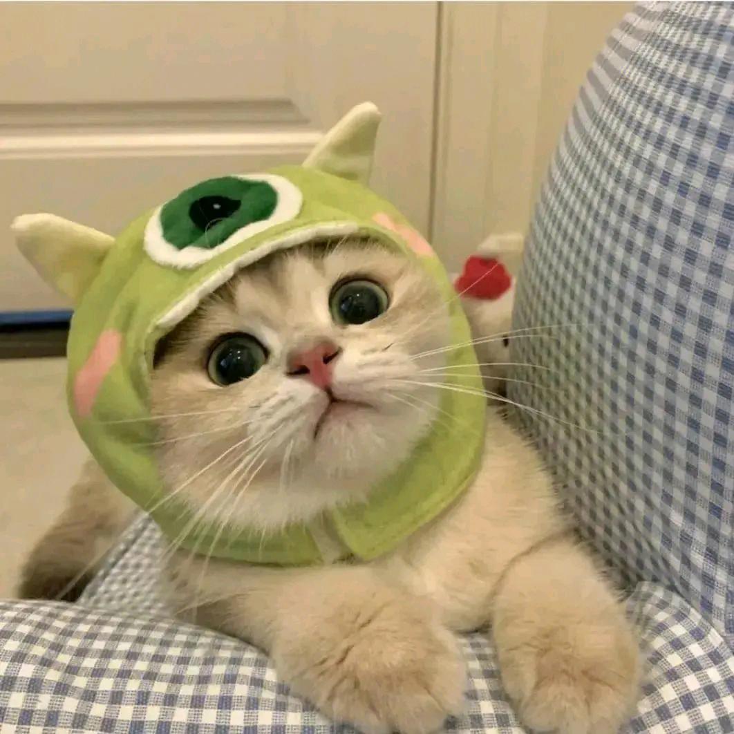 性价比好物挖掘机