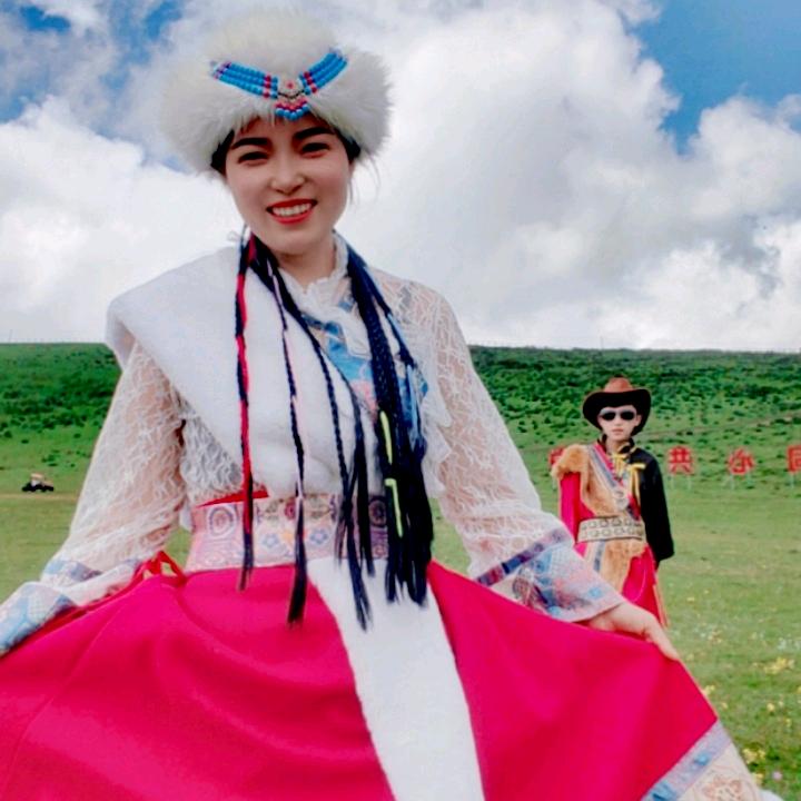 （茶埠）海燕卤肉下水