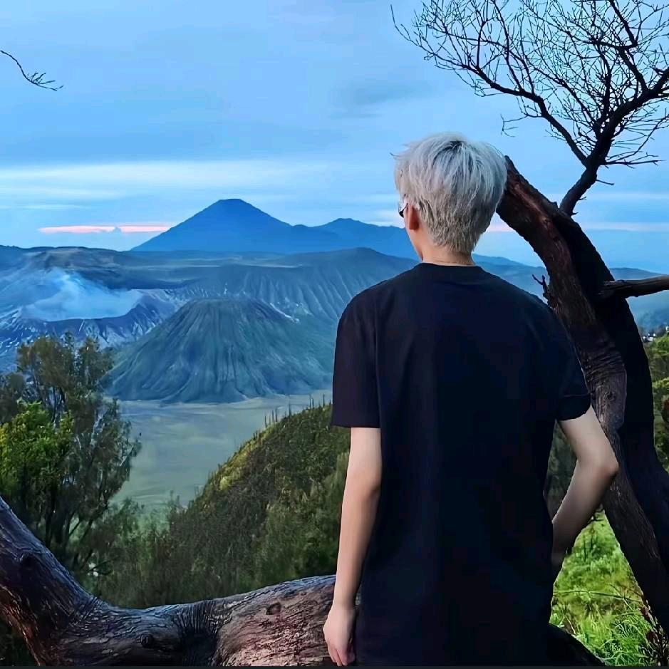 A-蟹老板的锅꧔ꦿ᭄