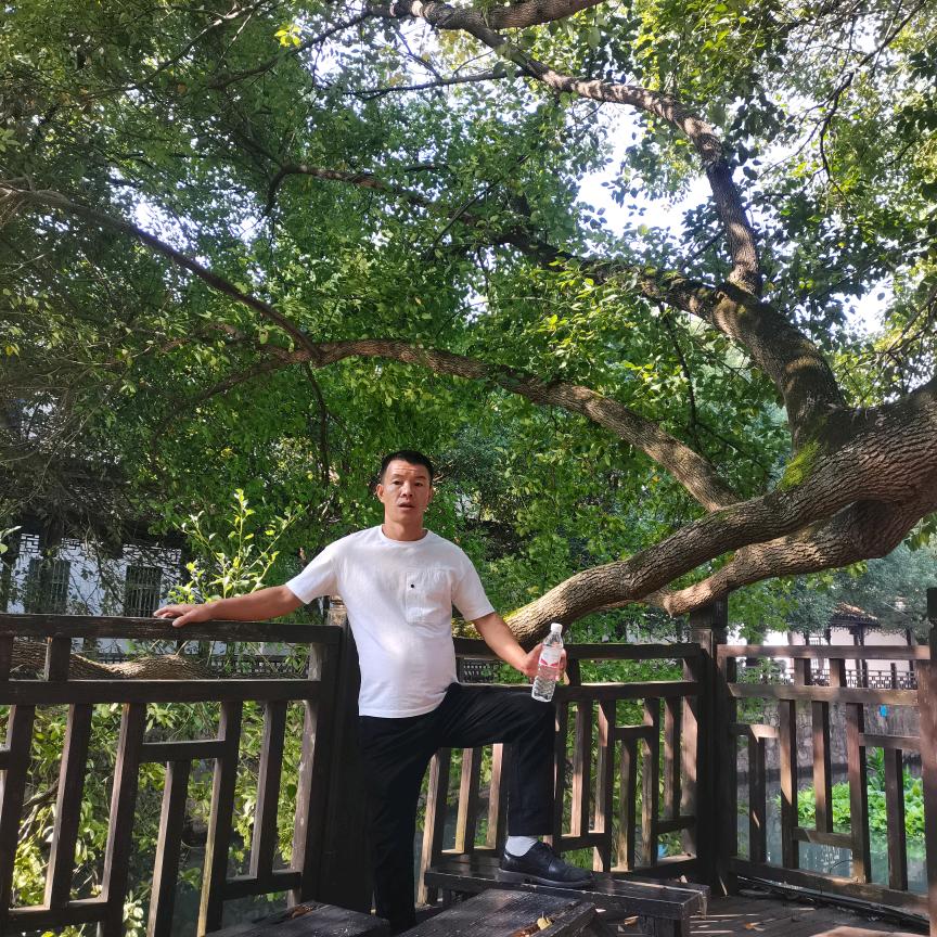 竹叶青，平常心