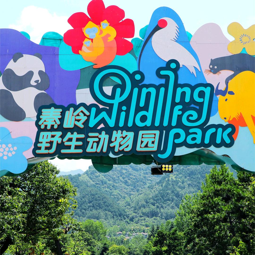 秦岭野生动物园-团购福利