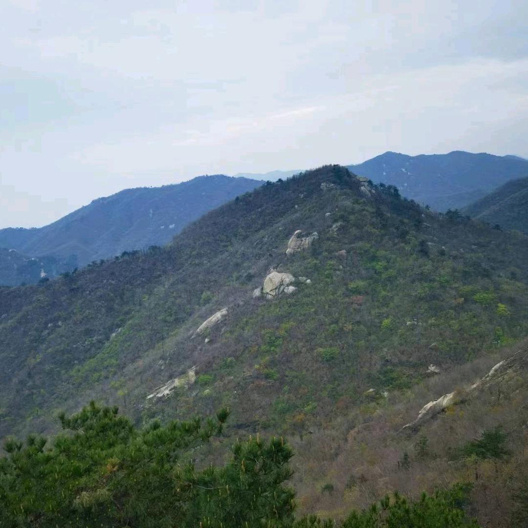 首客小胡匠