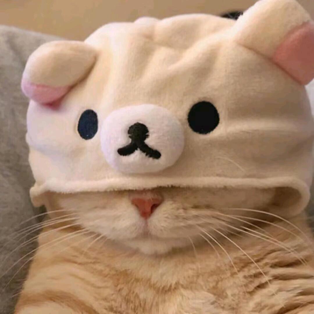 晚安•́‸ก