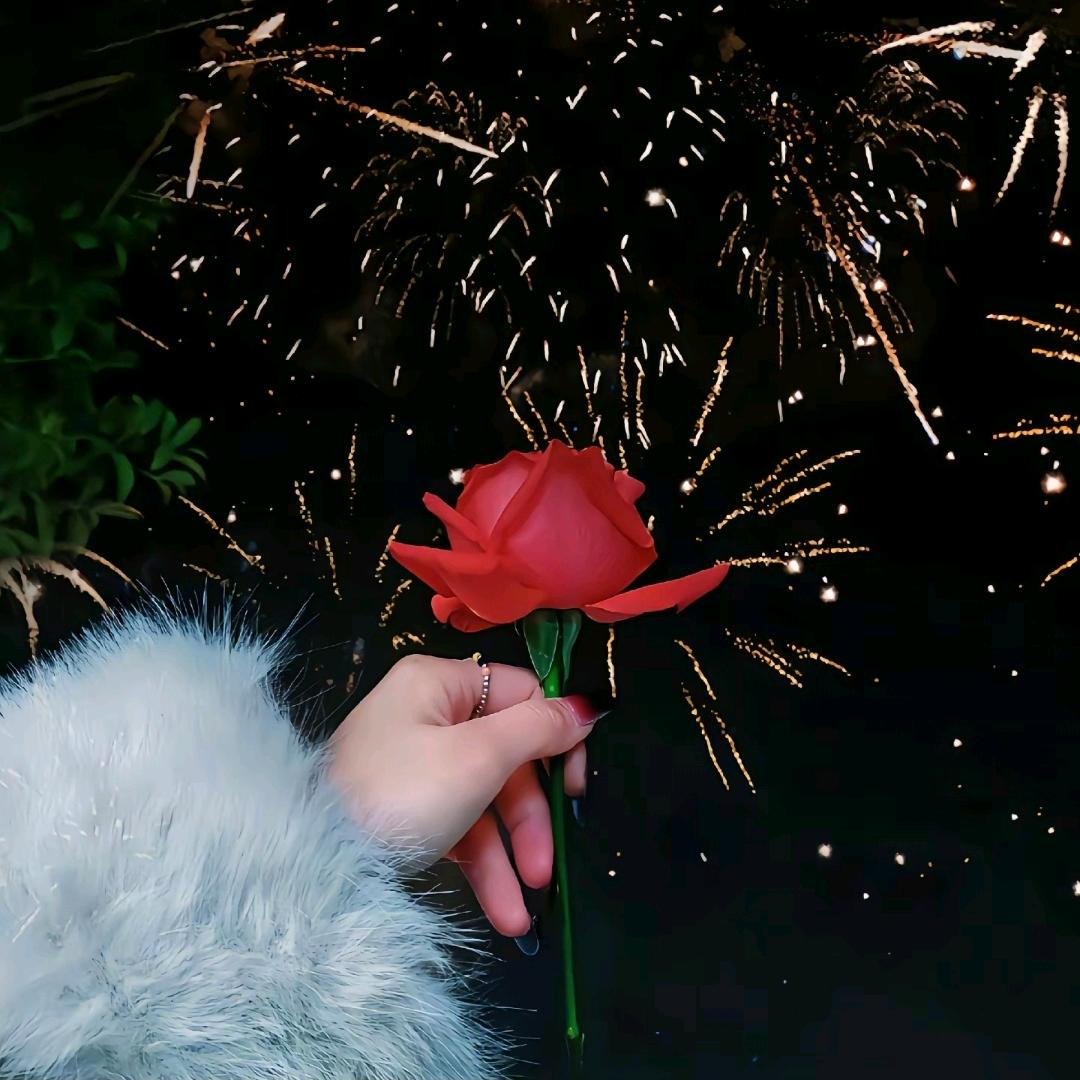 苹果🍒