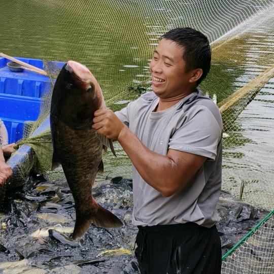 芷江小张