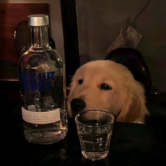 𝓑𝓮𝓵𝓲𝓮𝓿𝓮𝓻