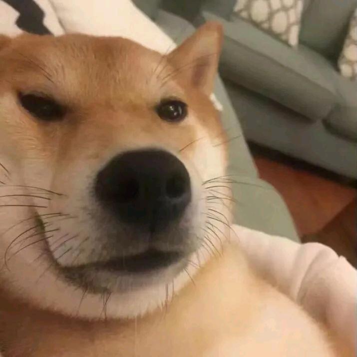 暮晨
