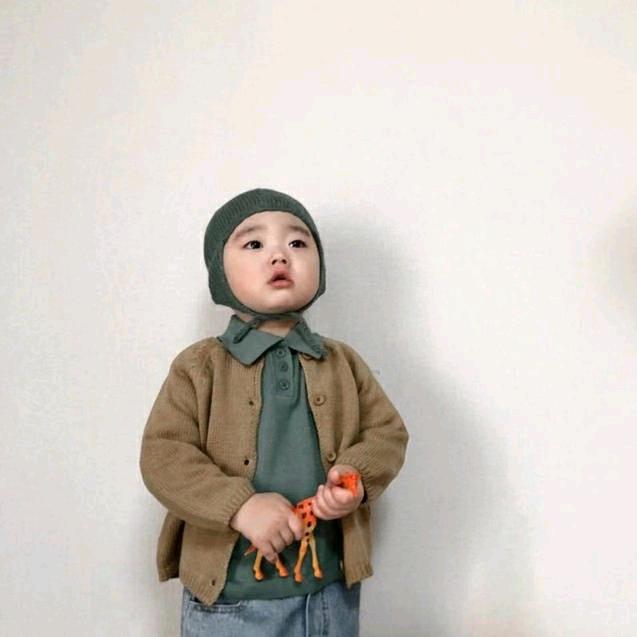 州 州