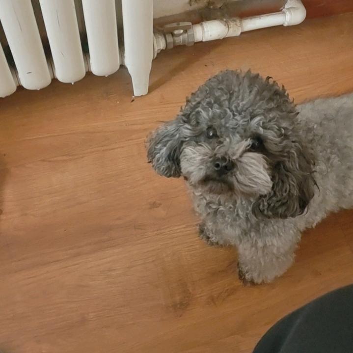 叶落无痕