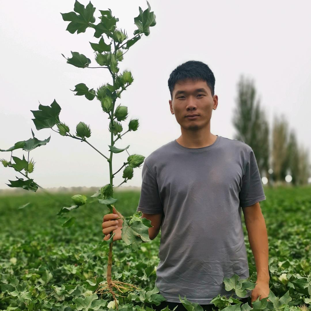 库尔勒市垚和鑫农资经销部