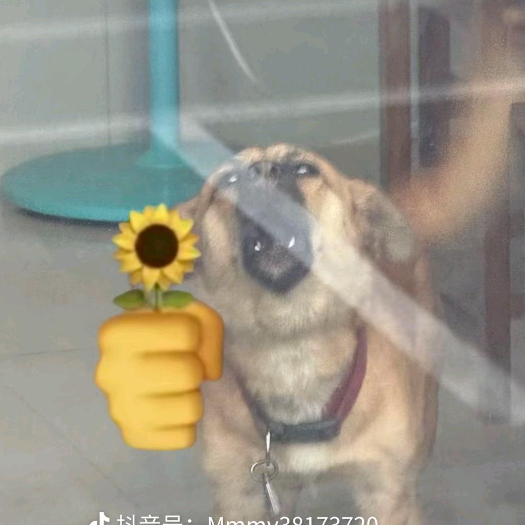 林睐