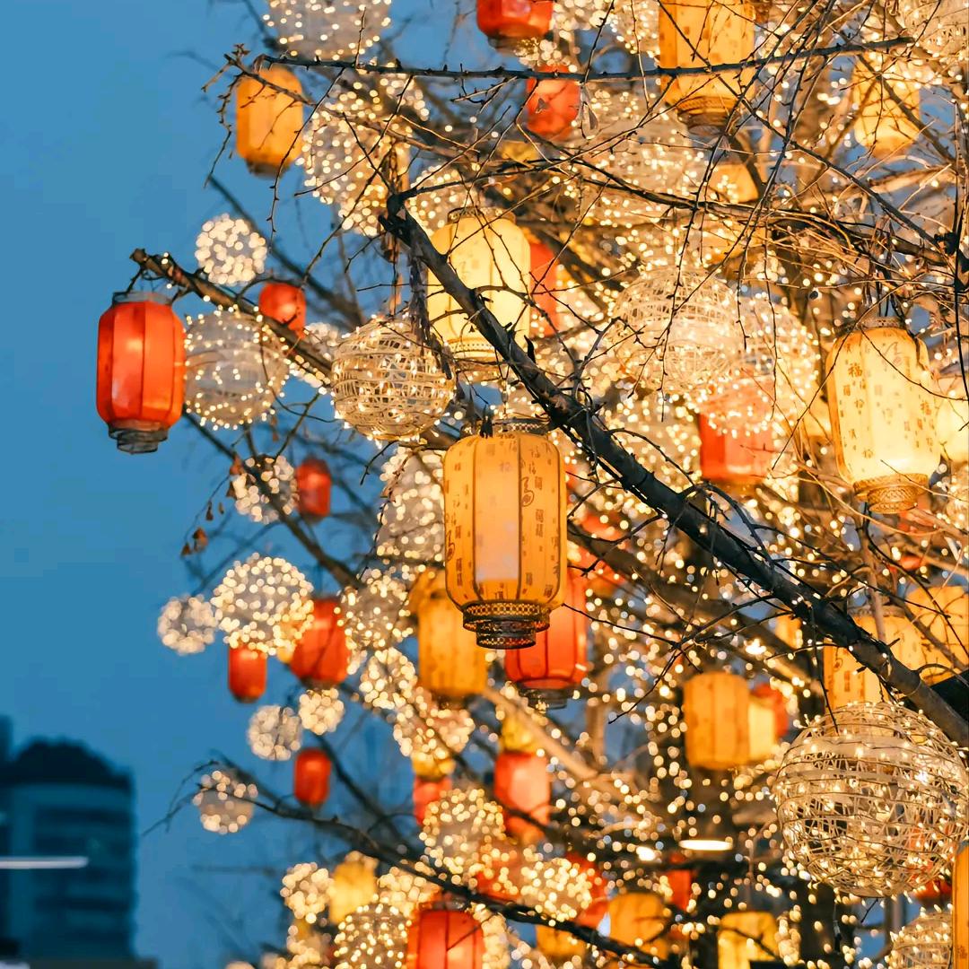 我不熬夜了
