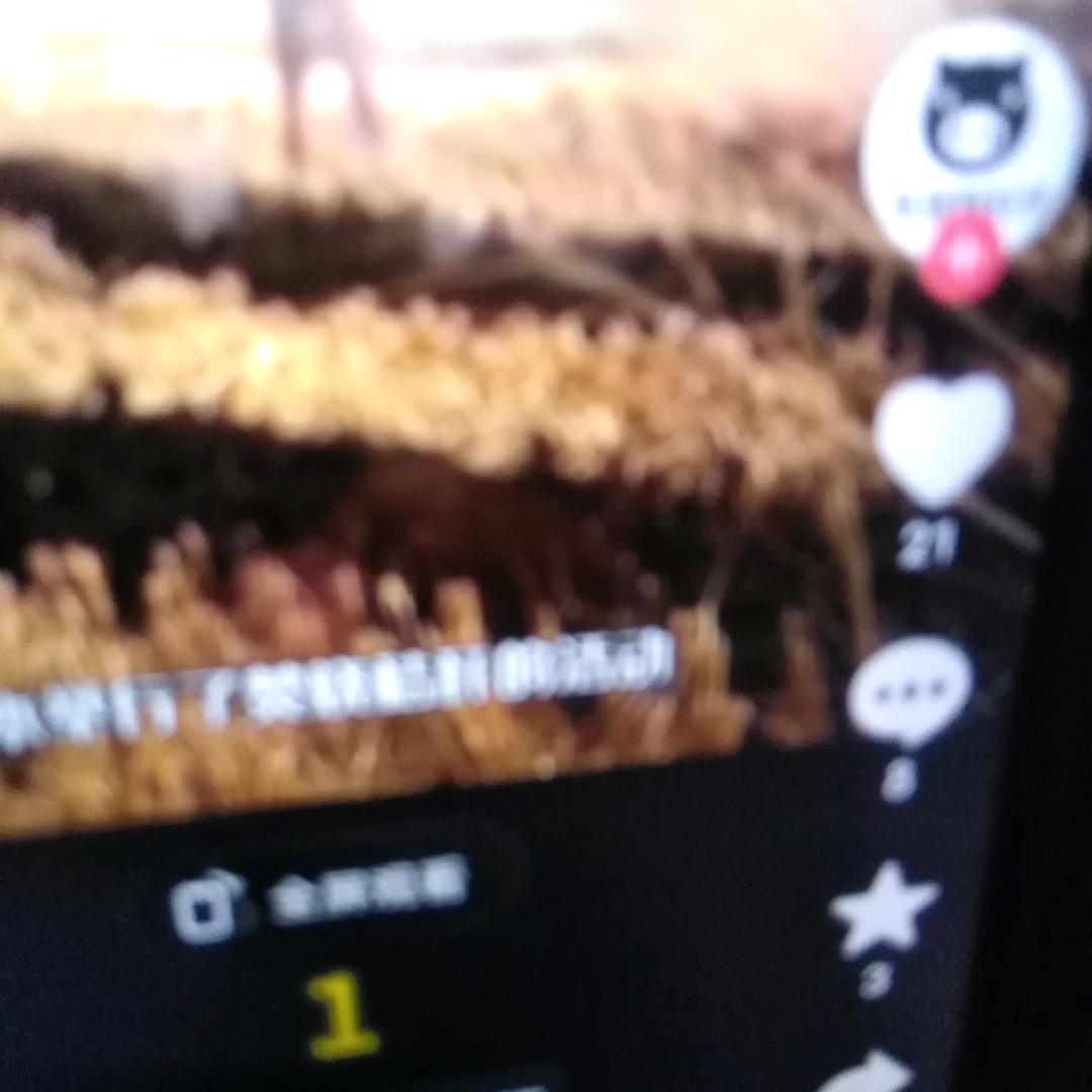 平地一声雷