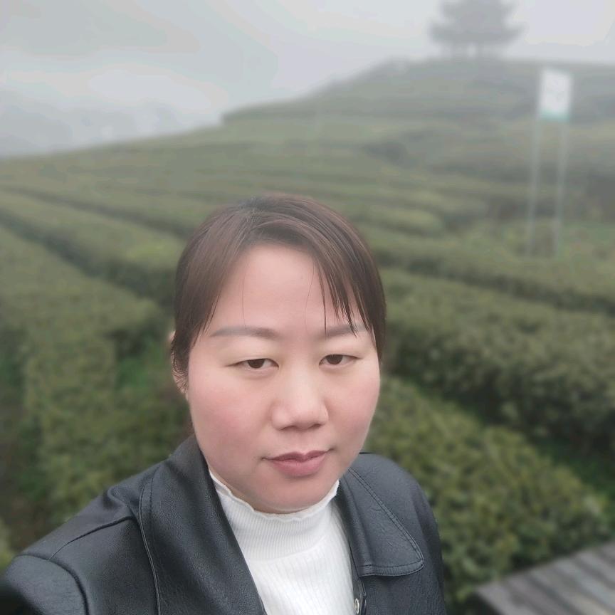 锦茗鸿丰