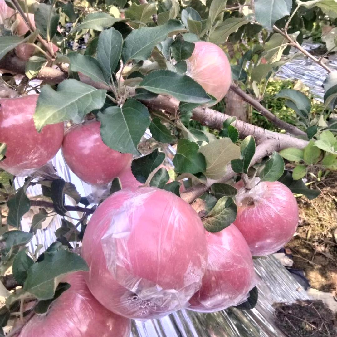 活的开心就好