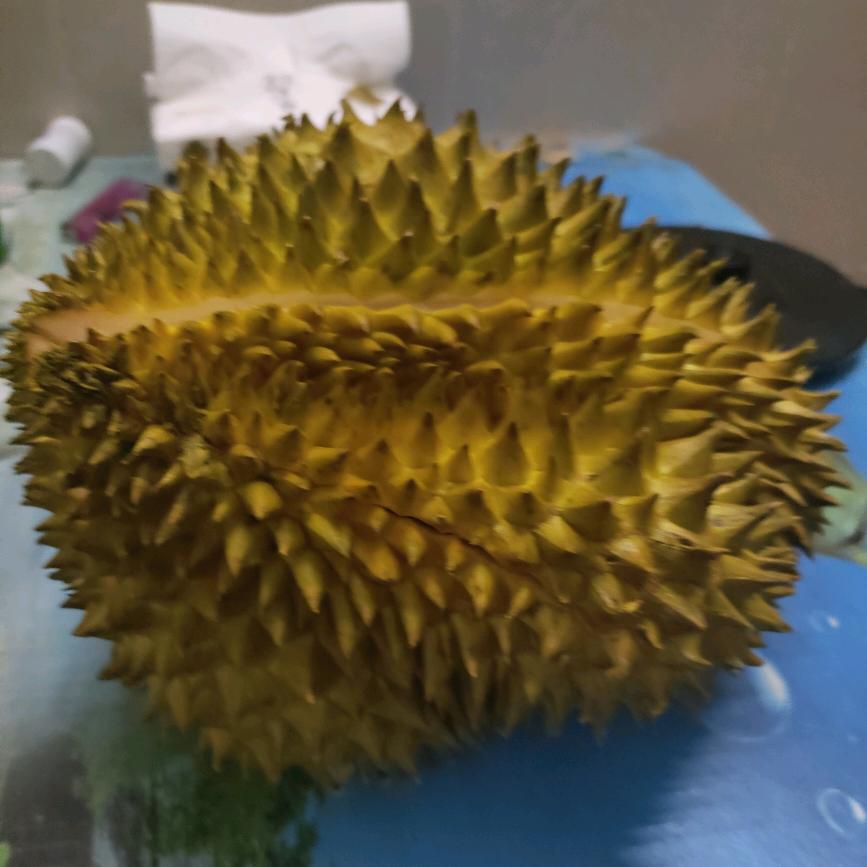 草药味儿の岁月