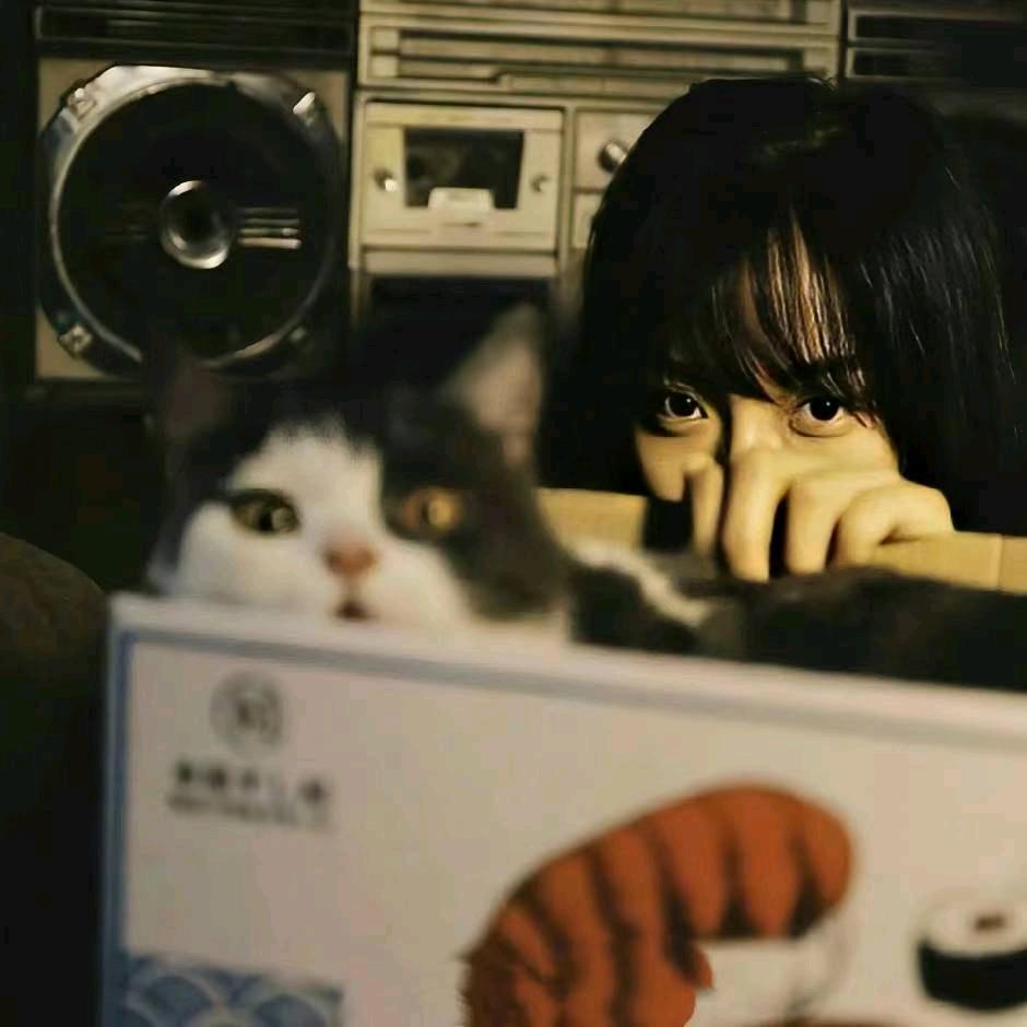 五五
