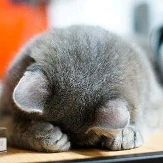 夢拾夜