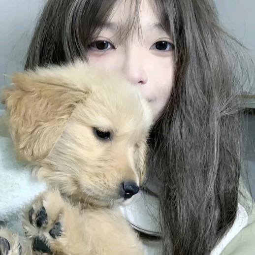 小狗日记