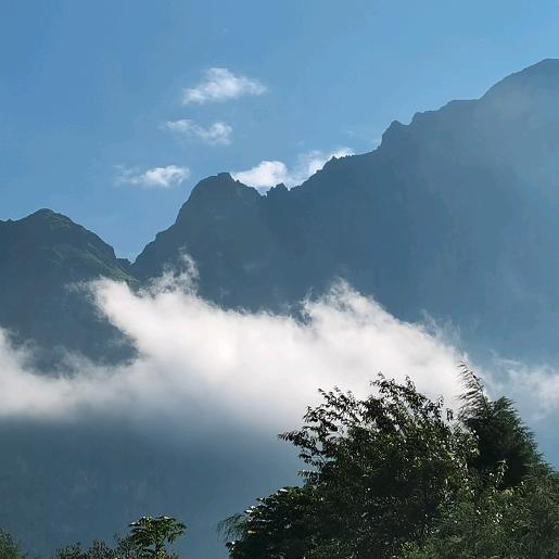 Amway健康日用品