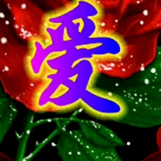 蝴蝶飞飞🦋🦋🌹🌹