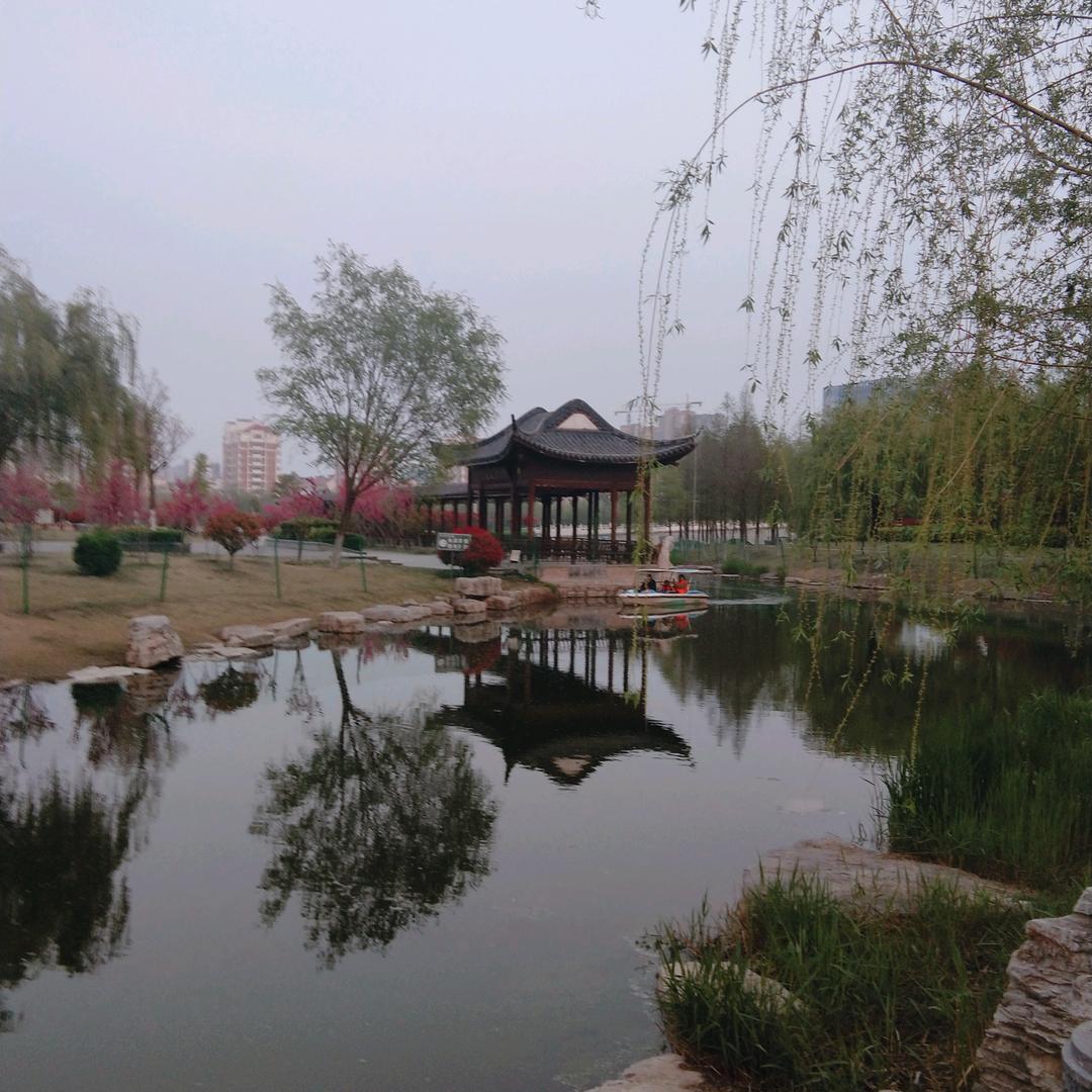 ✨封心锁爱✨