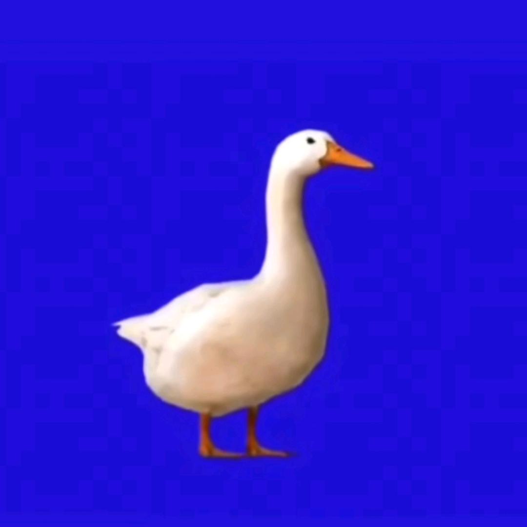 用户鹅🥚🪿