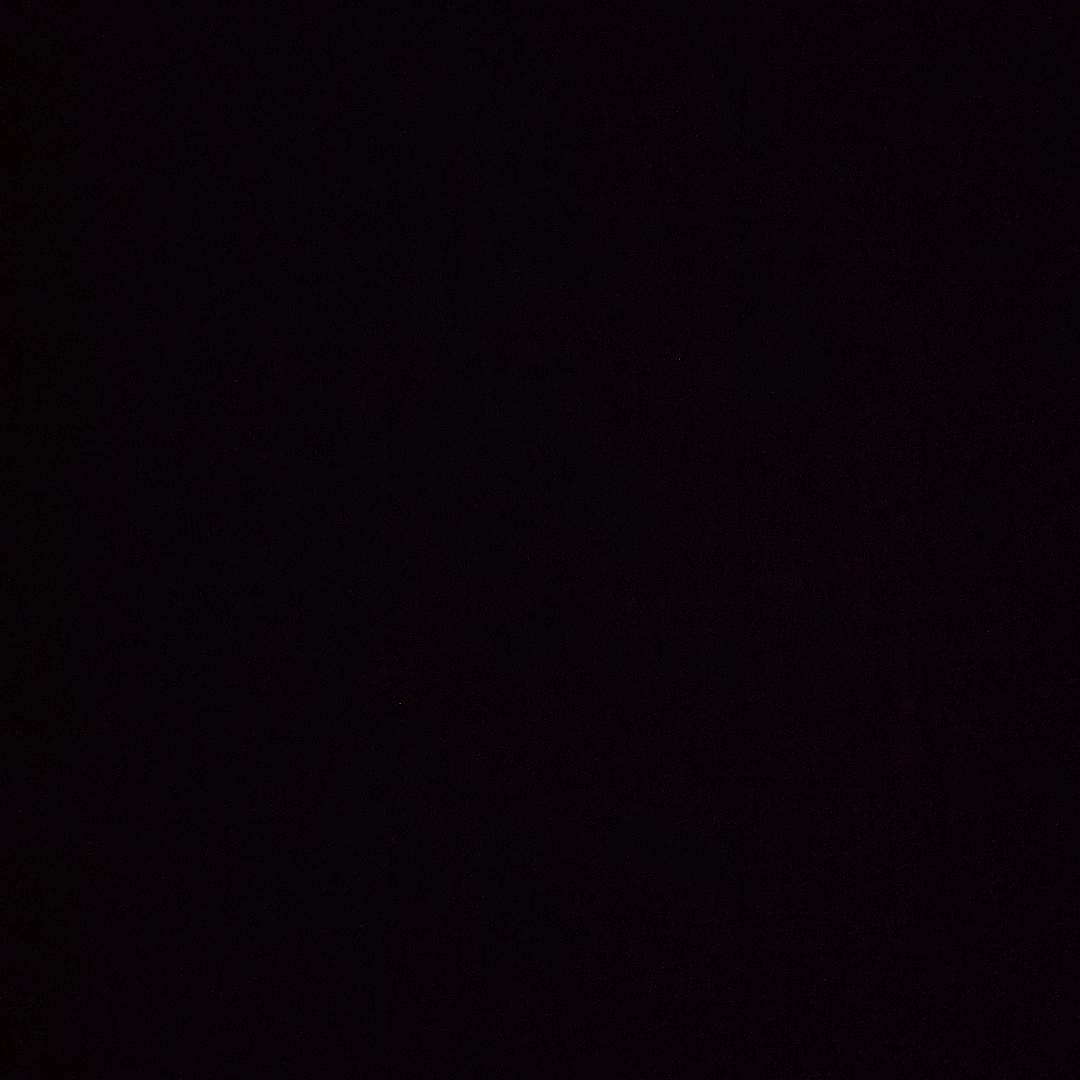 廉实第二深情