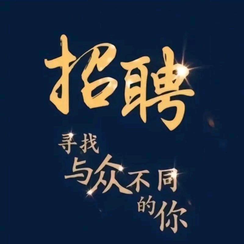 就业先行者（殷老师）