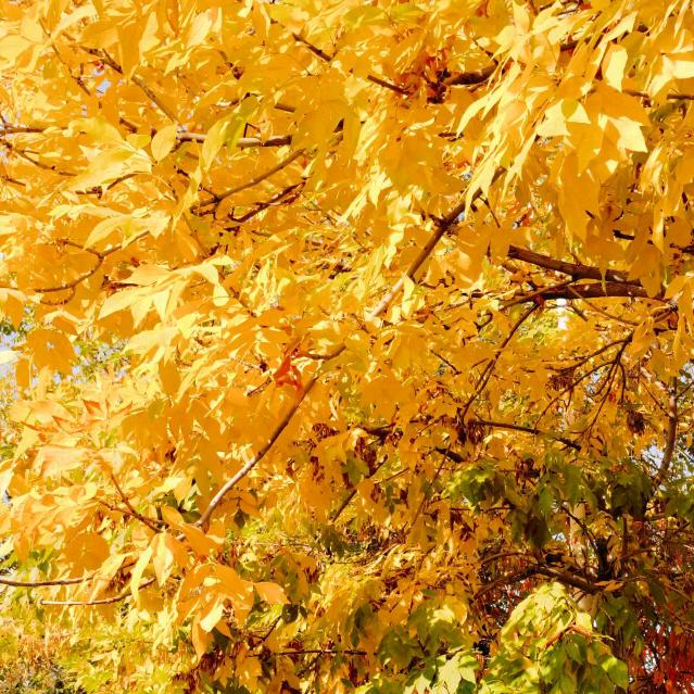 岁月静好(❁´◡`❁)*✲ﾟ*