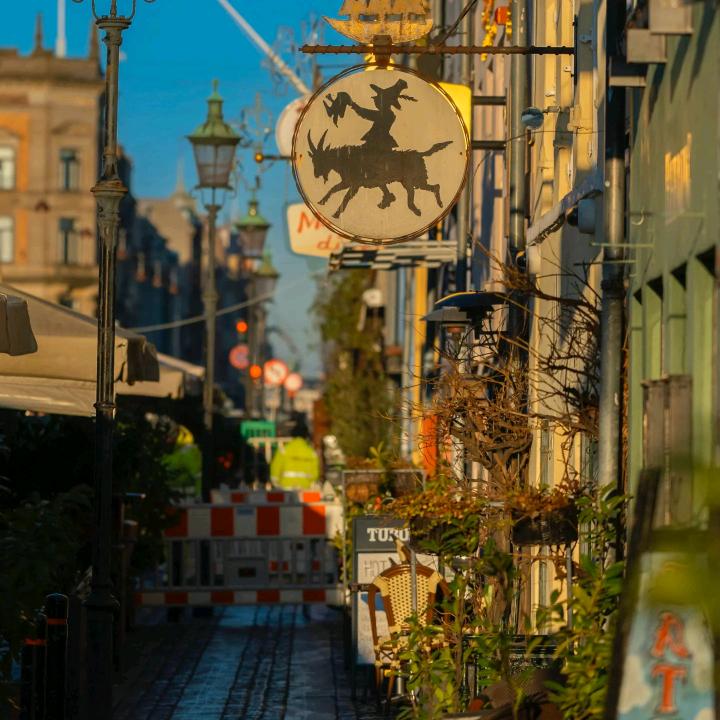 辉辉进步不拖延