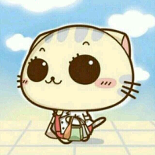 小yi龙