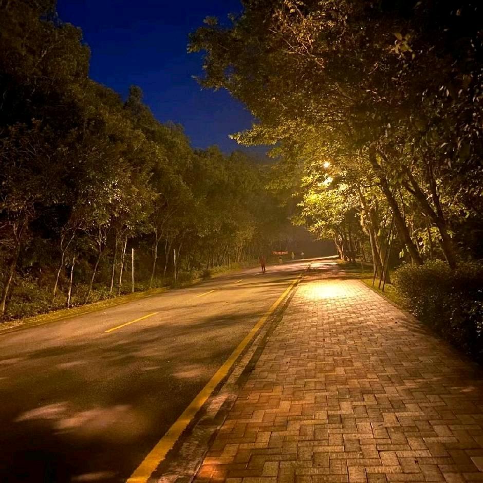 绝对是个梦