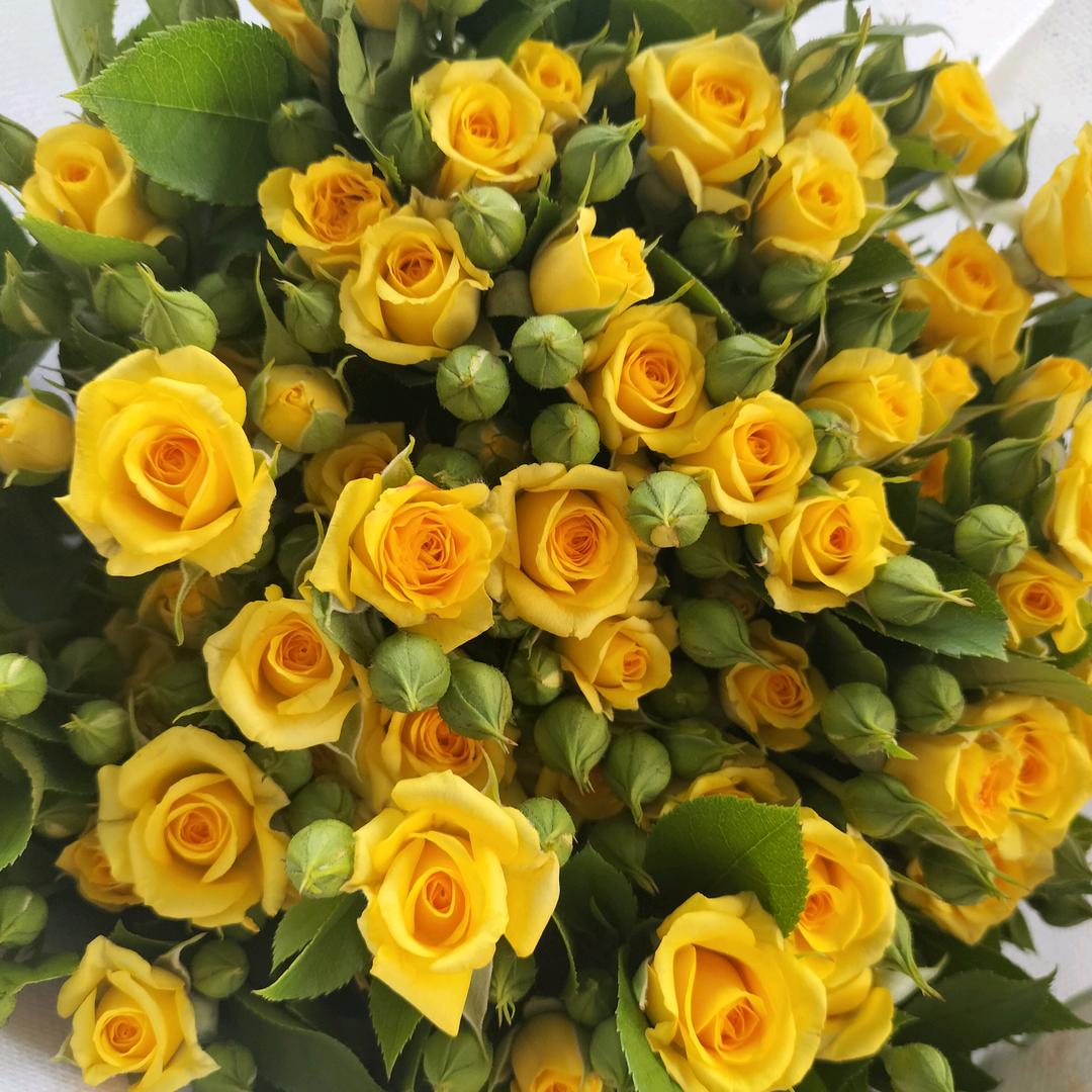 昆明鲜花批发，丽姐
