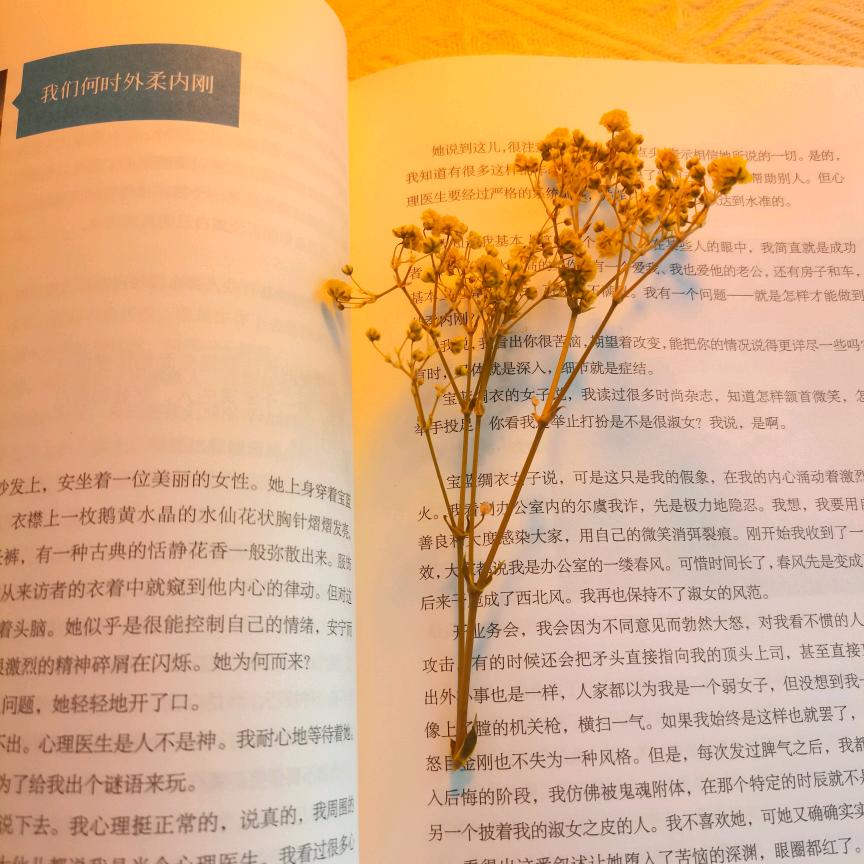 蓓儿悦读