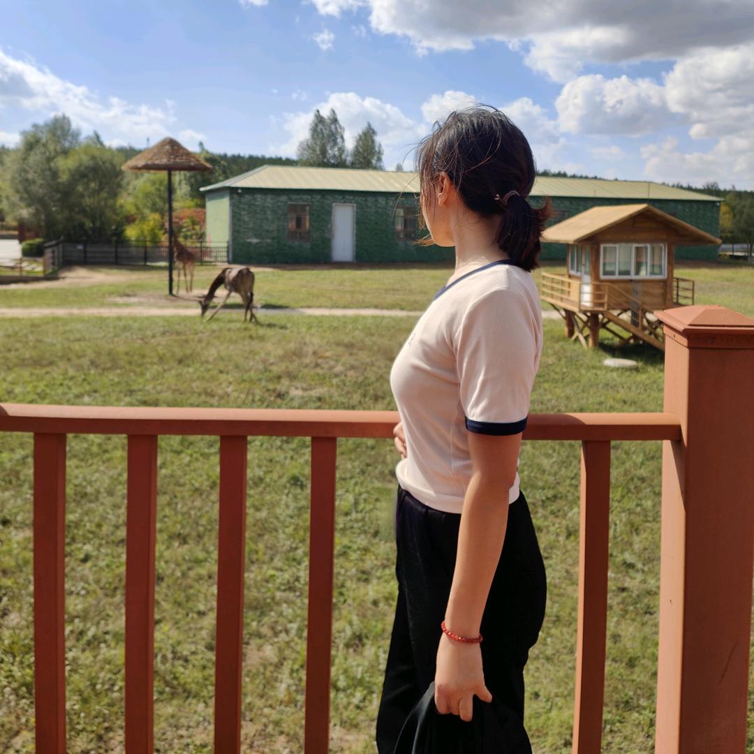 鄂尔多斯手绘石头画