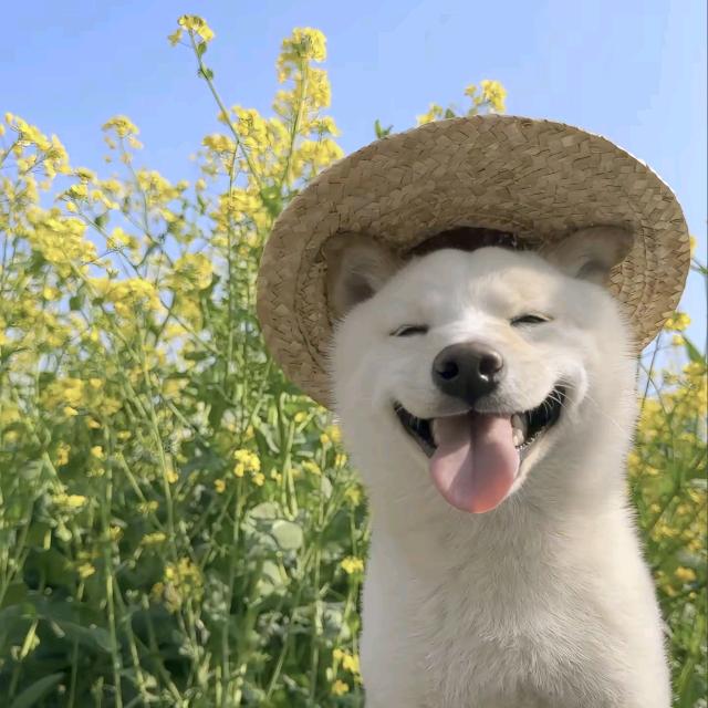 关于秋风