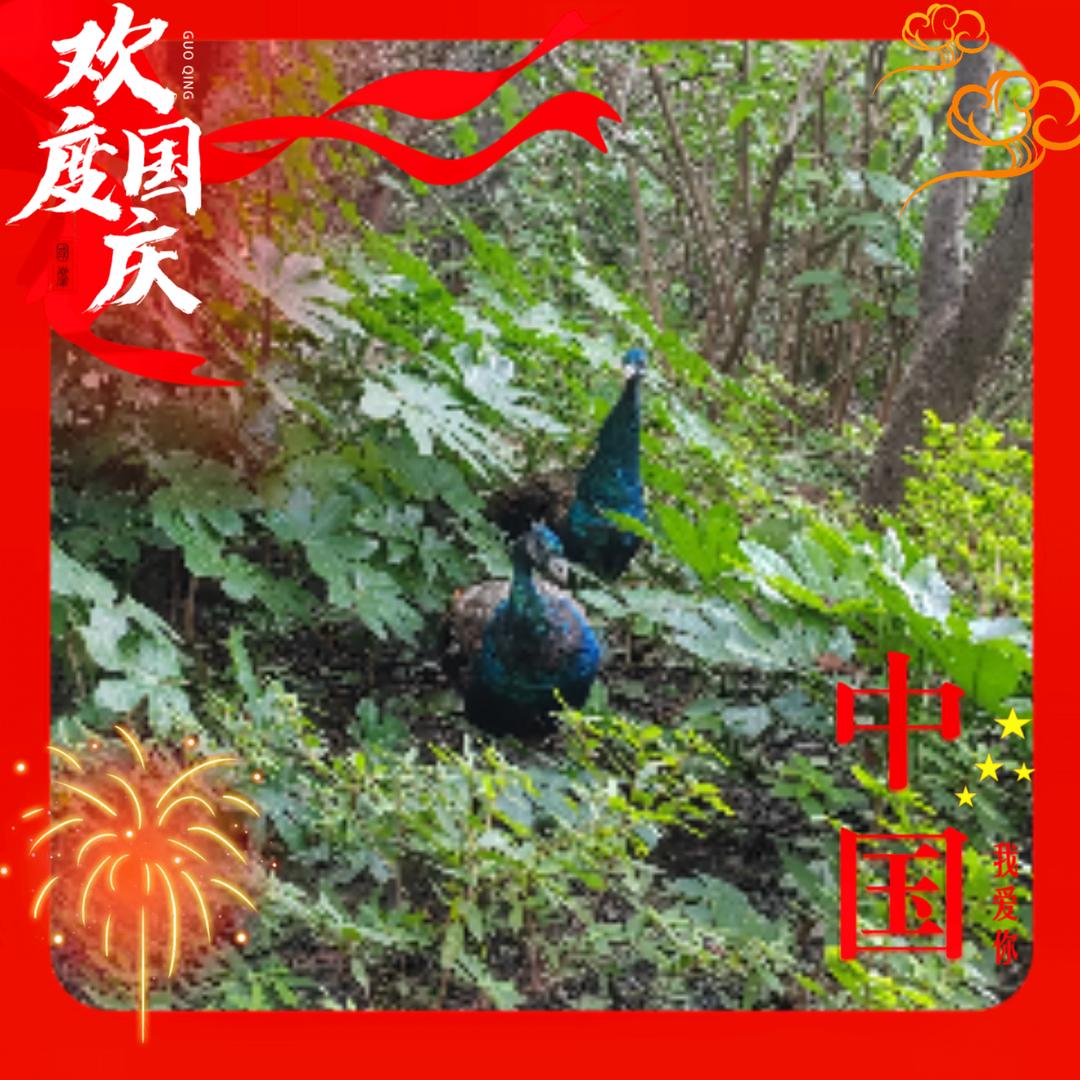 破茧成蝶 8013