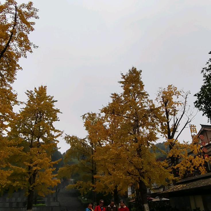 老开心南岸